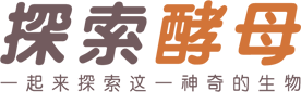 exploreyeast-logo-cn